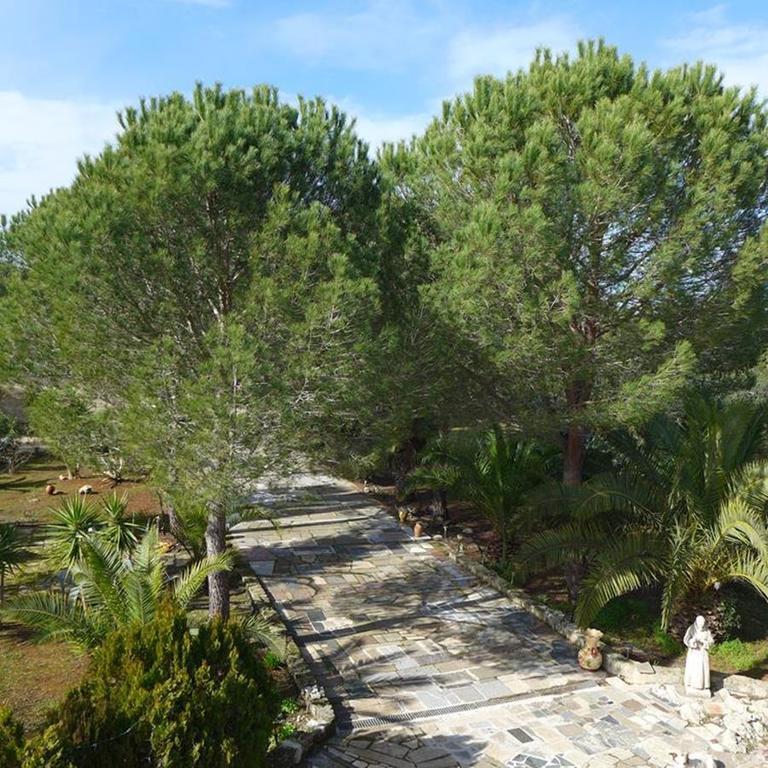 Casa Christina Apartment Galatone Bilik gambar
